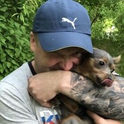 ���������� ���������, ���� ������� �������, 41 ���, ������������ ��� ������, ����� � ���������, c�������� ���������, ���������