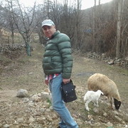 ���������� ������, ���� ������� Zzimla, 62 ����, ������������ ��� ����� � ���������, c�������� ���������