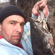  ,   ANGHELL LEO, 43 ,   ,   , c 