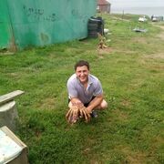 ���������� ������� ������, ���� ������� ������, 43 ����, ������������ ��� c�������� ���������, ���������