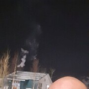 ���������� ������, ���� ������� Pasha, 42 ����, ������������ ��� ������, ����� � ���������