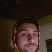 ���������� ����, ���� ������� Shami, 32 ����, ������������ ��� ����� � ���������, c�������� ���������