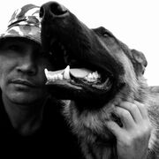 ���������� ������, ���� ������� ��������, 45 ���, ������������ ��� ������, ����� � ���������, c�������� ���������, ���������