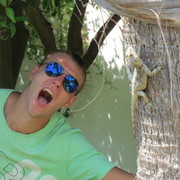 ���������� ����������, ���� ������� �������, 35 ���, ������������ ��� ������, ����� � ���������, c�������� ���������