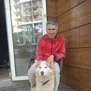 ���������� �����, ���� ������� �����, 53 ����, ������������ ��� ������, ����� � ���������