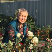 ���������� ����������, ���� ������� ������, 67 ���, ������������ ��� c�������� ���������