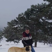 ���������� ������ ��������, ���� ������� Mehmet, 40 ���, ������������ ��� ������, ����� � ���������