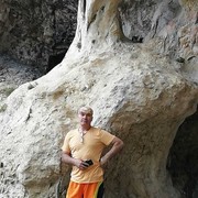  --,   , 55 ,   ,   , c 