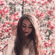  -,   , 29 ,  