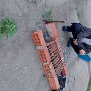 ���������� �������, ���� ������� ������, 48 ���, ������������ ��� c�������� ���������, ���������