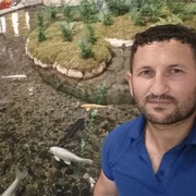 ���������� ������, ���� ������� �����, 43 ����, ������������ ��� ������, ����� � ���������