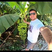 ���������� ������, ���� ������� ����, 38 ���, ������������ ��� ������, ����� � ���������, c�������� ���������