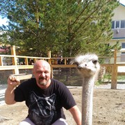  -,   , 54 ,   ,   , c 