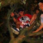 ���������� ��������, ���� ������� D������, 33 ����, ������������ ��� ������, ����� � ���������