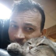 ,   , 36 ,   ,   , c , 