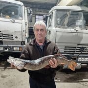 ���������� ������� ���, ���� ������� ��������, 61 ���, ������������ ��� ������, ����� � ���������, c�������� ���������