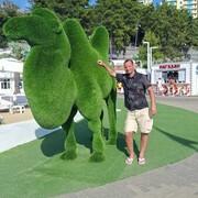 ���������� ������, ���� ������� ��������, 32 ����, ������������ ��� c�������� ���������