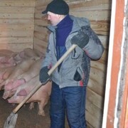 ���������� �����-���������, ���� ������� ���������, 53 ����, ������������ 