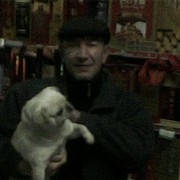  ,   , 52 ,   