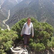  ,   Ali, 36 ,   ,   , c 