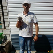  ,   , 55 ,   ,   , c 