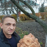  ,   , 41 ,   ,   , c 
