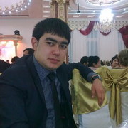  ,   Persik, 36 ,   ,   , c 