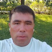 ���������� ������, ���� ������� ������, 40 ���, ������������ ��� ������, ����� � ���������, c�������� ���������