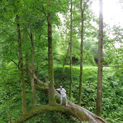 ���������� ������, ���� ������� Ishxan, 78 ���, ������������ ��� ������, ����� � ���������, c�������� ���������