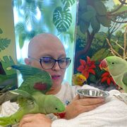 ���������� ����� �������, ���� ������� ������, 48 ���, ������������ ��� ������, ����� � ���������, c�������� ���������, ���������