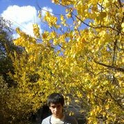 ���������� ������, ���� ������� ��������, 31 ���, ������������ ��� ������, ����� � ���������, c�������� ���������, ���������