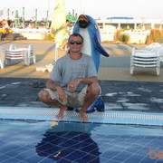 ���������� ����, ���� ������� ���, 44 ����, ������������ ��� ������