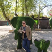 ���������� ���������, ���� ������� �������, 41 ���, ������������ ��� ������, ����� � ���������, c�������� ���������