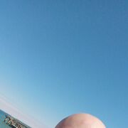  ,  , 44
