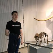 ���������� �����������, ���� ������� ���������, 31 ���, ������������ ��� ������, ����� � ���������, c�������� ���������, ���������