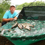 ���������� ����������, ���� ������� ������, 51 ���, ������������ ��� ������, ����� � ���������, c�������� ���������