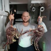  ,   , 48 ,   c 