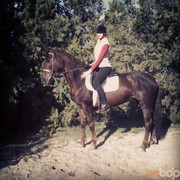 ���������� ��������, ���� ������� ����, 29 ���, ������������ ��� ����� � ���������, c�������� ���������