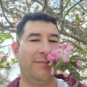 ���������� ������, ���� ������� ����, 35 ���, ������������ 