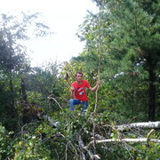 ���������� �����������, ���� ������� �������, 37 ���, ������������ ��� ������, ����� � ���������, c�������� ���������