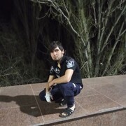  ,   Shohin, 22 ,   ,   