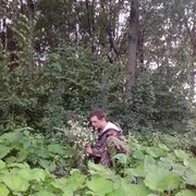  ,   , 40 ,   