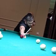 ���������� ���������� �����, ���� ������� Erken, 30 ���, ������������ ��� ������, ����� � ���������, ���������