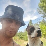  ,   , 44 ,   