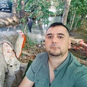 ���������� ������, ���� ������� UMAR, 37 ���, ������������ ��� c�������� ���������, ���������