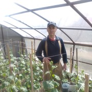 ���������� ��������, ���� ������� �������, 64 ����, ������������ ��� ������, ����� � ���������, c�������� ���������