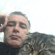 ���������� ����, ���� ������� ����, 48 ���, ������������ ��� ������, ����� � ���������