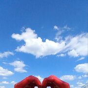 ���������� ������ ��������, ���� ������� ���, 46 ���, ������������ ��� ������, ����� � ���������