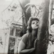 ���������� �����������, ���� ������� �����, 52 ����, ������������ 