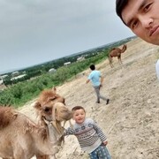 ���������� �����������, ���� ������� ����, 31 ���, ������������ ��� ����� � ���������, c�������� ���������